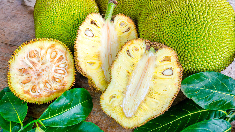 Cross-section ripe fruit of giant Jack-fruit. Cross-section ripe fruit of giant Jack-fruit.