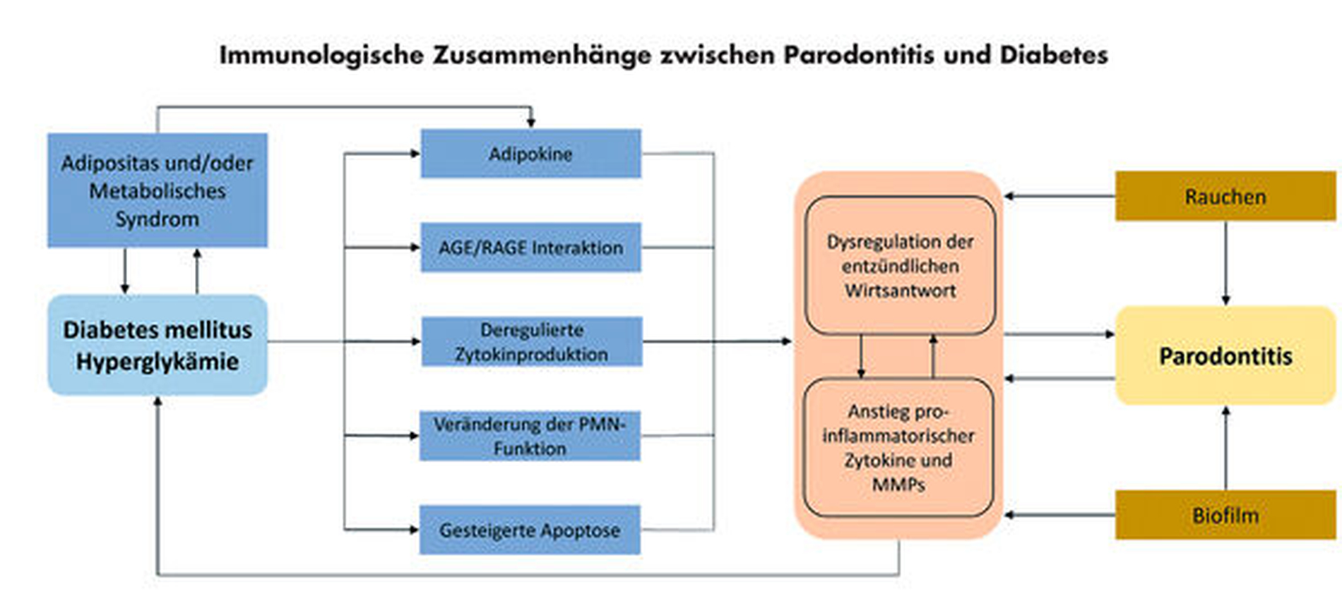 Biologische und klinische Assoziationen von oraler Gesundheit und ...