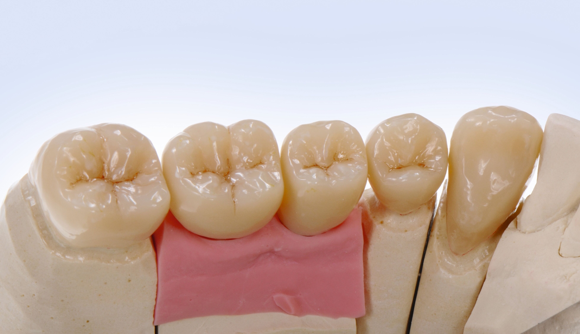 338971-flexible-1900.jpg 338971-flexible-1900.jpg