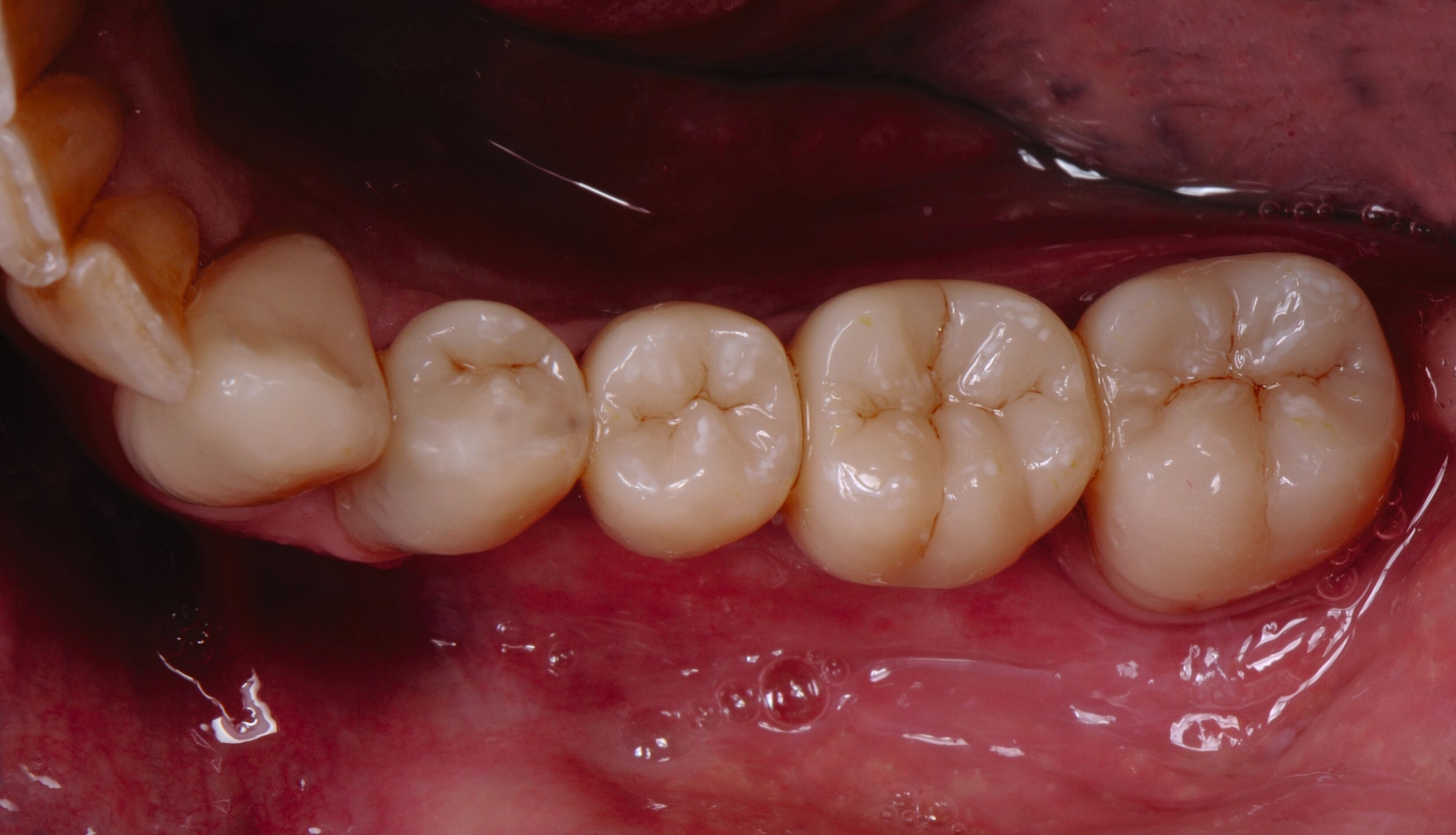 338973-flexible-1900.jpg 338973-flexible-1900.jpg