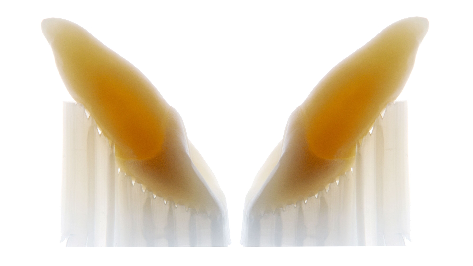 338995-flexible-1900.jpg 338995-flexible-1900.jpg