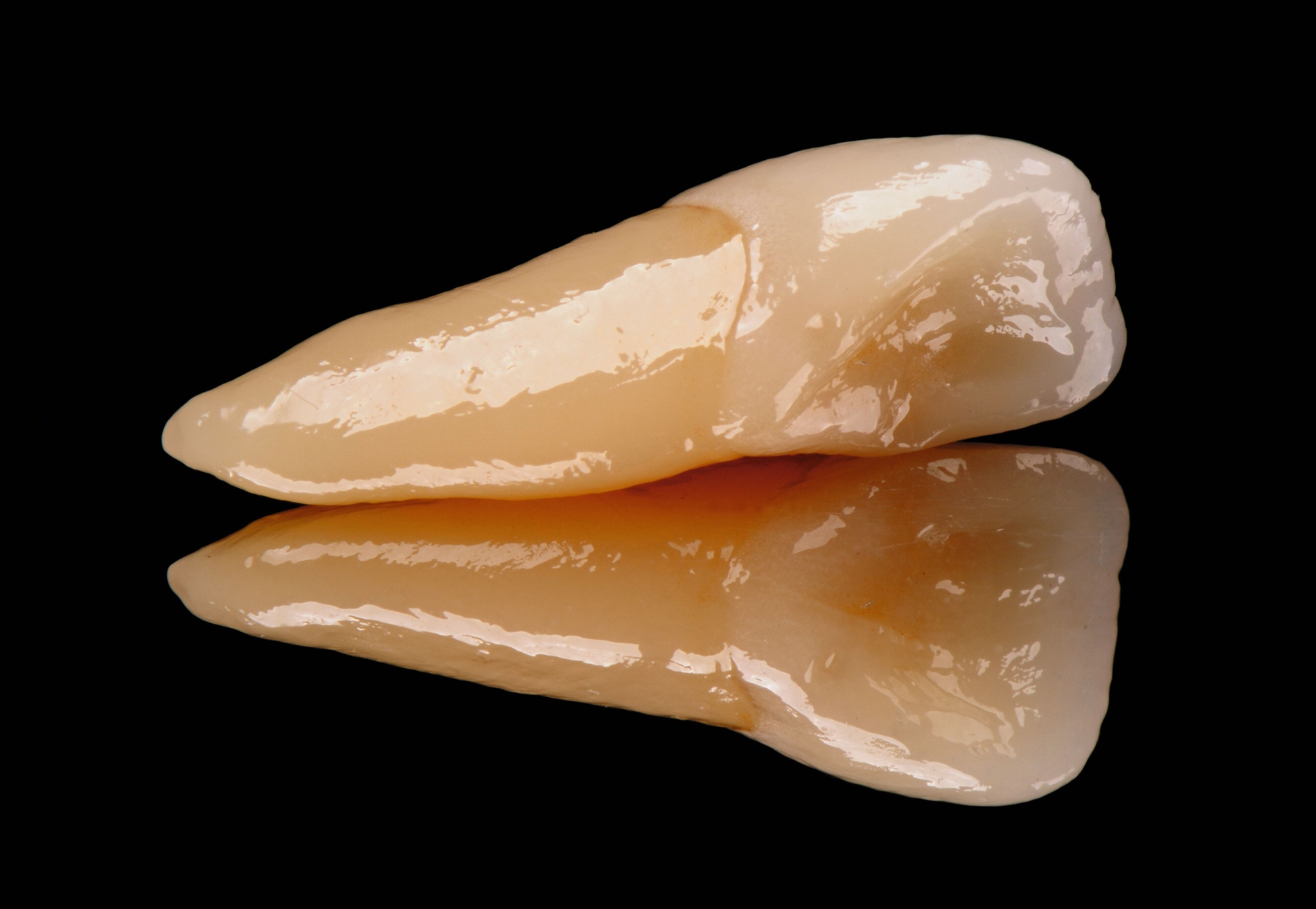 338997-flexible-1900.jpg 338997-flexible-1900.jpg